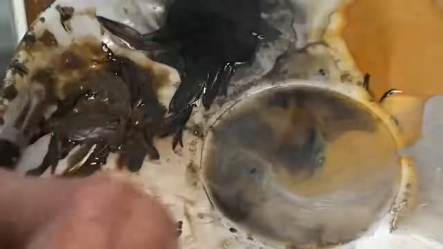 ХУДОЖНИК ОТ БОГА! смотреть онлайн