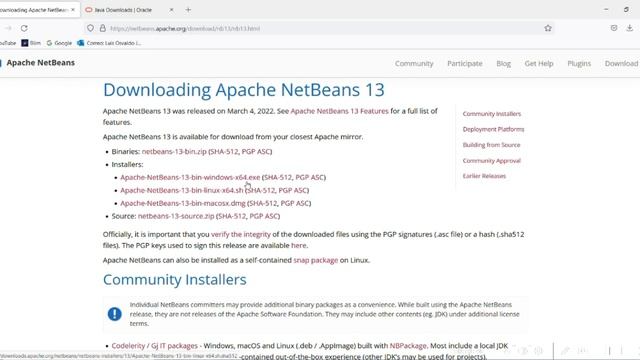 Descargar e instalar Apache NetBeans 13 | Windows | 2022 смотреть онлайн
