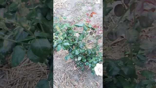 12 июля 2022 г. смотреть онлайн