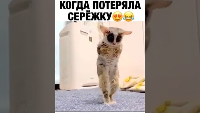 Когда потеряла сережку