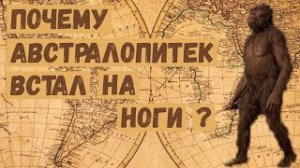 Почему австралопитек встал на ноги?