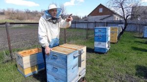 Роение при двухматочном методе пчеловождения.