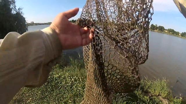 И на озере поплавок с кормушкой работает / Петродолина смотреть онлайн