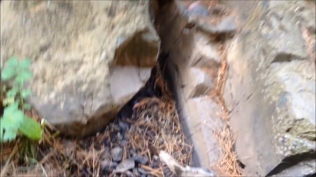 Alluvial Gold Prospecting -  The Best Places to Find Gold in a Creek - How to Get Gold