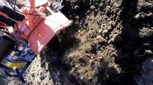 Культивация мотоблоком зубр 135.Вспашка HP31