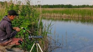 ЛОВЛЯ КРАСНОПЕРКИ НА СЧЁТ, БОЛОНКА ПРОТИВ ПИКЕРА РЫБАЛКА С БЕРЕГА