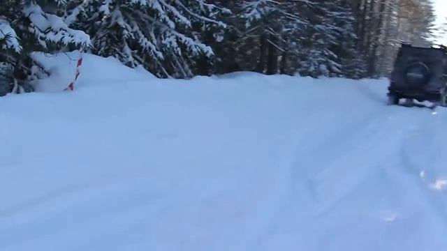 Встреча в дремучем лесу смотреть онлайн