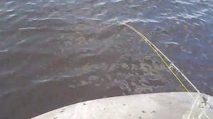 рыбалка в карелии(энгозеро).AVI