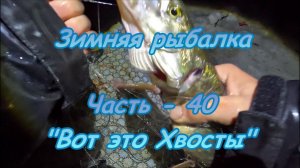 Зимняя рыбалка. Часть - 40 "Вот это Хвосты".