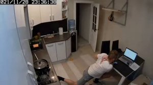 кот вцепился в спину хозяина