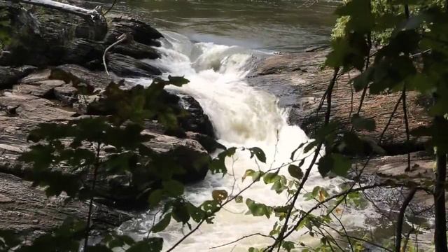 От похоти - к любви. Да, это правда смотреть онлайн