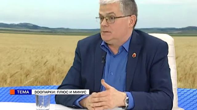 Плюс и минус с Ольгой Бабаянц (03.04.18) Игорь Беляков. Зоопарки: плюс и минус смотреть онлайн