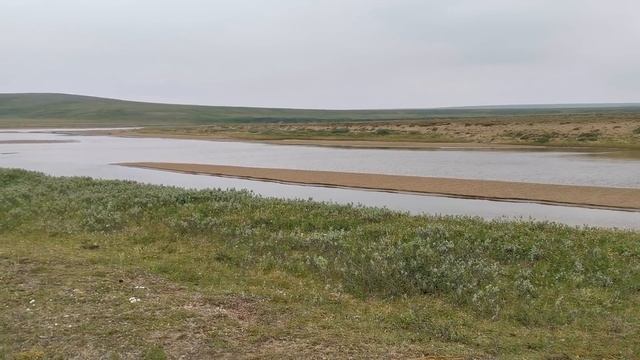 Ловим чира,готовим гуся,жарим грибы,находим бивни!