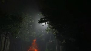 ?️Шум Дождя по Крыше старой | Звуки дождя и грома для сна и радует душу