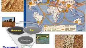 Сельское хозяйство, 7 класс география