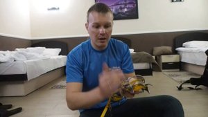 Как правильно точить альпинистские кошки