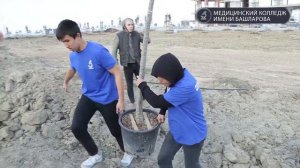 Аллея героев-медиков