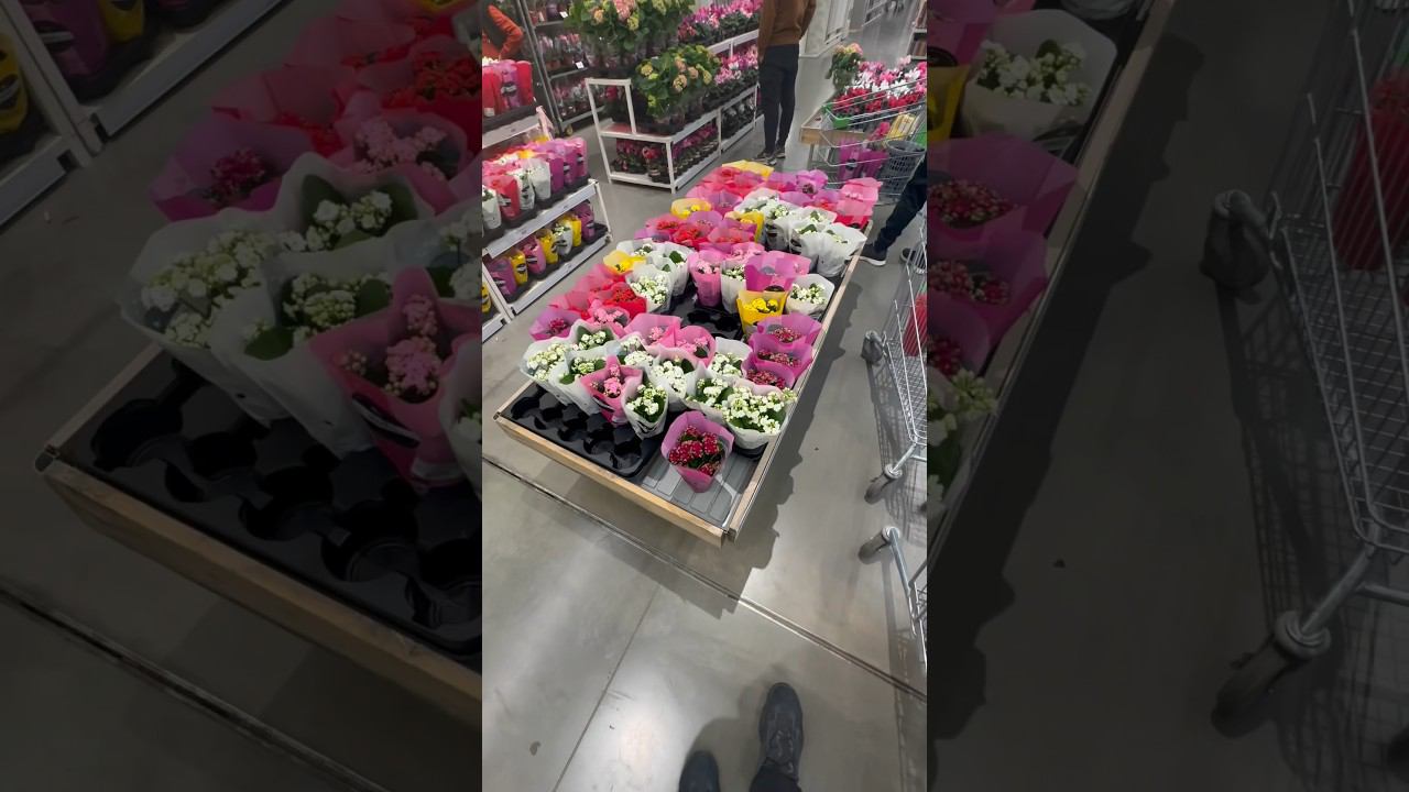 Для милых дам смотреть онлайн