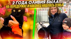 Оливия наконец-то нашла семью, 2 года была у меня на передержке. Уезжает домой в Краснодар