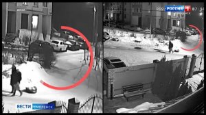 Хозяина нападавшей на смолян бойцовской собаки оштрафовали