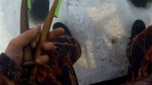 Рыбалка на махалку. Лов щуки зимой на реке Амур