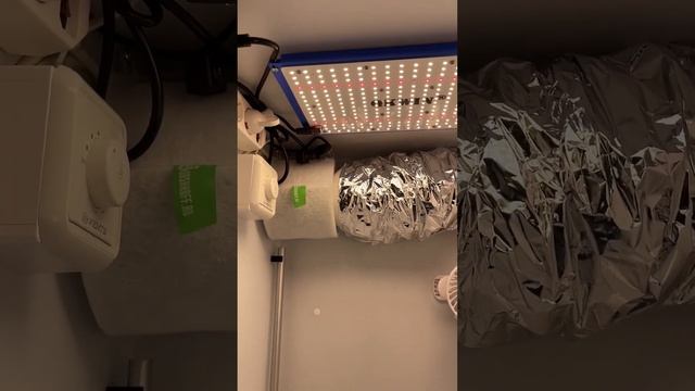 Тихий Гроубокс для дома смотреть онлайн