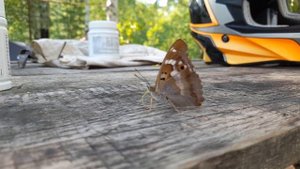 Синий гараж НАЧАЛО.