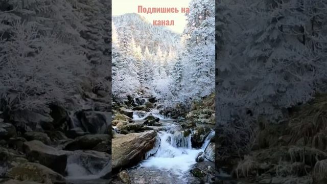 Успокаивающая звуки природы лечебная музыка для души #shorts смотреть онлайн