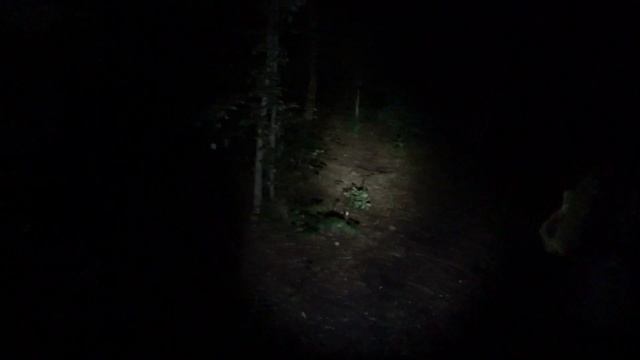 Рыбалка с ночевой в день рыбака. смотреть онлайн