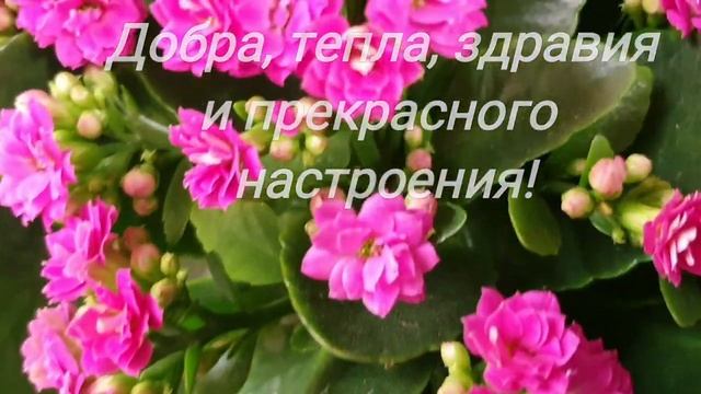 Андрей, с Днём Ангела поздравляю!  Красивое поздравление с Именинами для Андрея. Видео.