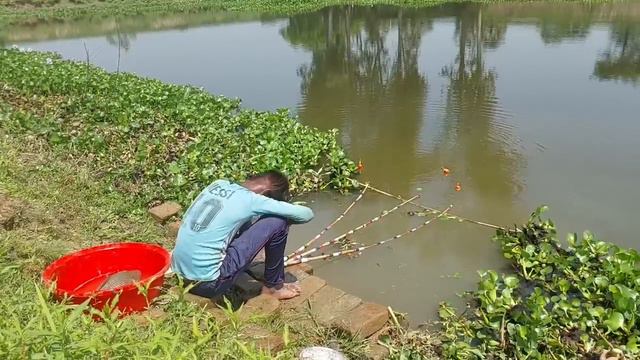 Traditional Boy Hunting Big Fish By Hook In Pound | Best Hook Fishing Video смотреть онлайн