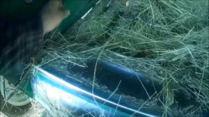 Т-40АМ ПР-110М Прессование лесного сена. Работаем и немного ломаемся.