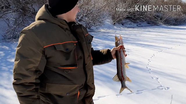 ЖЕРЛИЦЫ НА ИШИМЕ. МНОГО ПОДЪЁМОВ. РЫБАЛКА НА ЖЕРЛИЦЫ смотреть онлайн