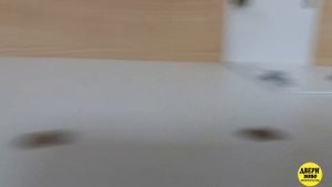 Экспозитор для дверей своими руками.