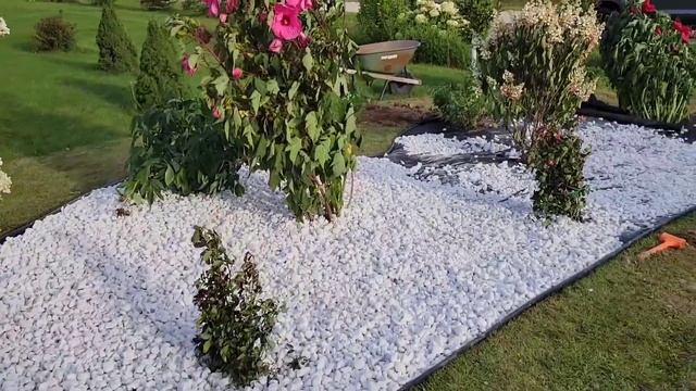 НАША НОВАЯ КЛУМБА смотреть онлайн