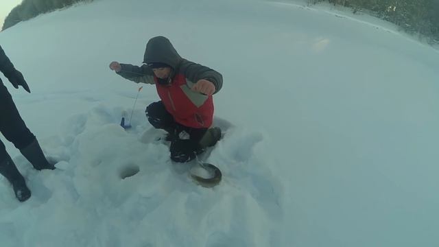 Нижняя Тавда, Жерлицы, 15.01.17 смотреть онлайн