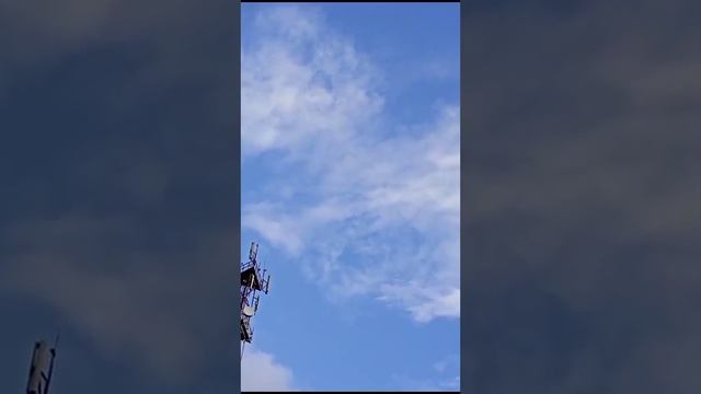 В Бологовском районе Тверской области потерпел крушение самолет