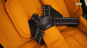 Обзор коляски Carrello Alfa (2 в 1) / LEMI KIDS - Магазин детства