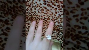 Мои колечки