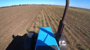 Беларус МТЗ 1221.2  Дисковка подсолнечника Тяжёлые бороны Bomet U815/9  Рабочая ширина  5 метров