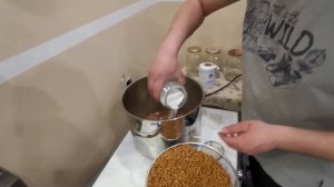 Ежовик гребенчатый, подготовка зерна для мицелия.