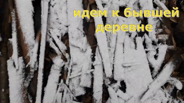 Находки в заброшенных деревнях КОП 2020