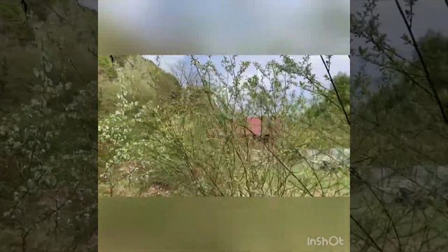 Участок в Чвижепсе!