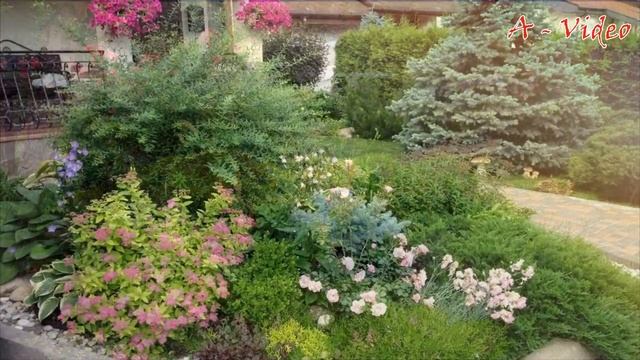 ?Цветы и Хвойные Отличное украшение для садового участка / Great garden decorations / A - Video смотреть онлайн