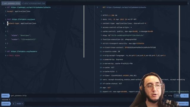 Abandone Postman Por este Plugin de Neovim смотреть онлайн