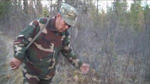 Изюбрь. Охота на реву с вабилом. Выпуск 118 . Эфир от 20.11.12