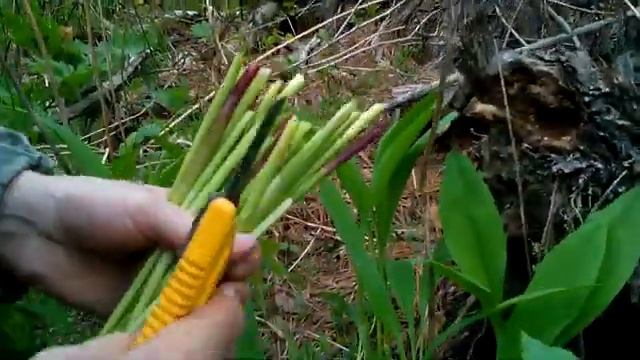 Макарак. Колба или Черемша смотреть онлайн