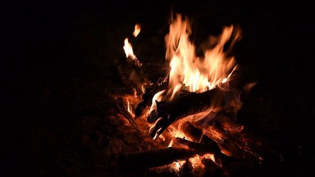 Еду на рыбалку! YouTube-канал о рыбалке и природе Татарстана. Фото и видео о рыбалке круглый год.