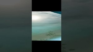 Тихонов Юрий подводный пылесос