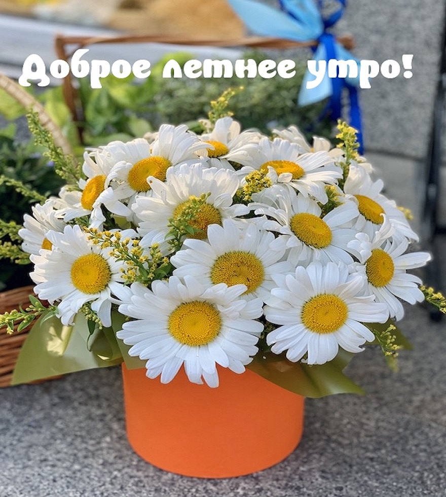 С добрым утром! Пусть оно будет наполнено радостным